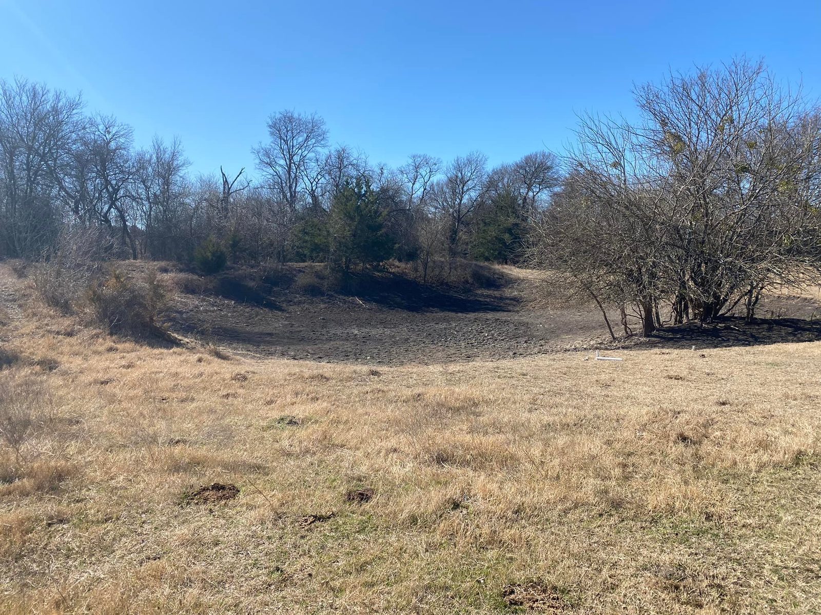 Cleared land under a blue sky